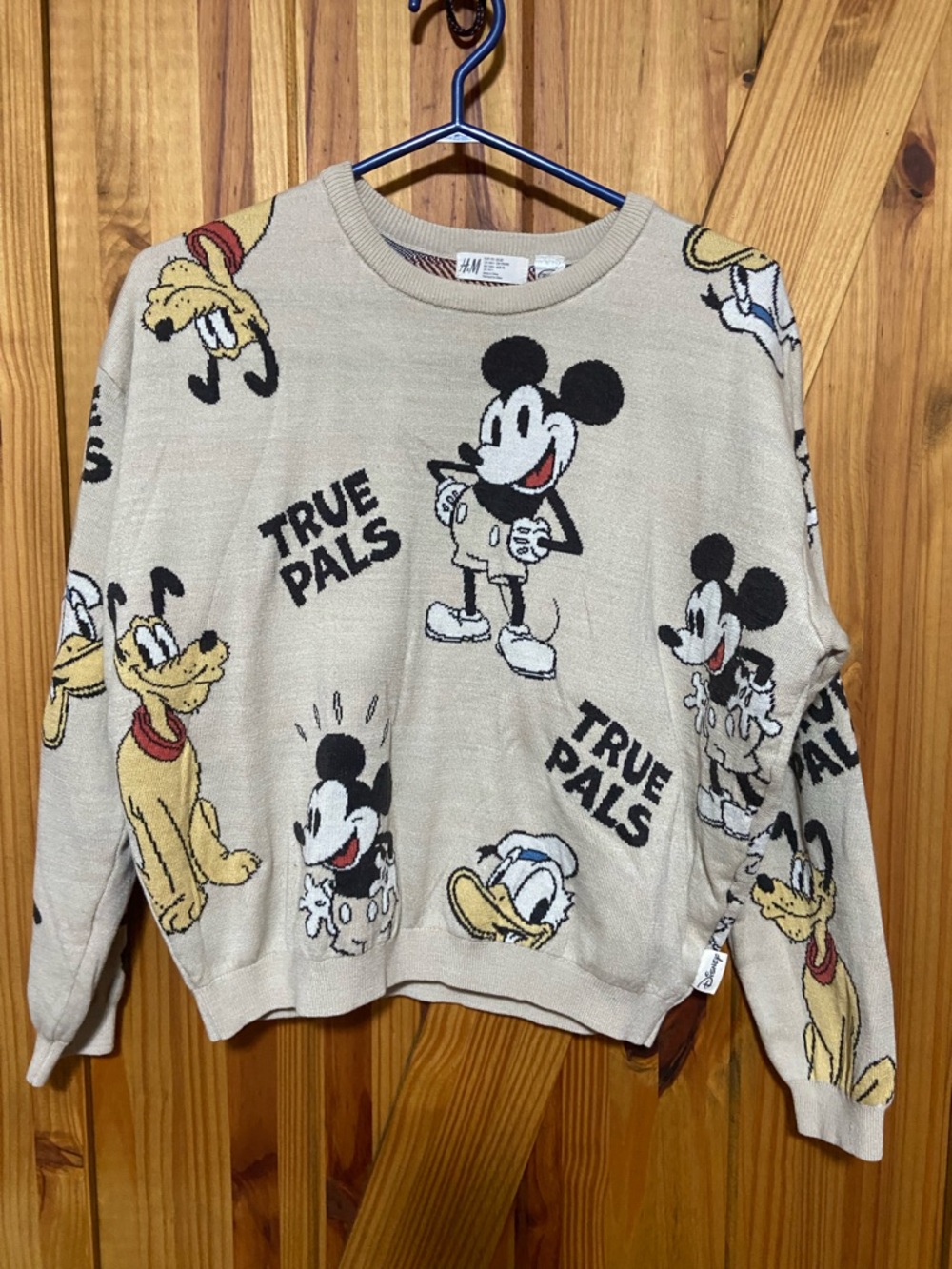 H&M Beige Knit Sweater with Multicolor Accent Stitching size youth 14